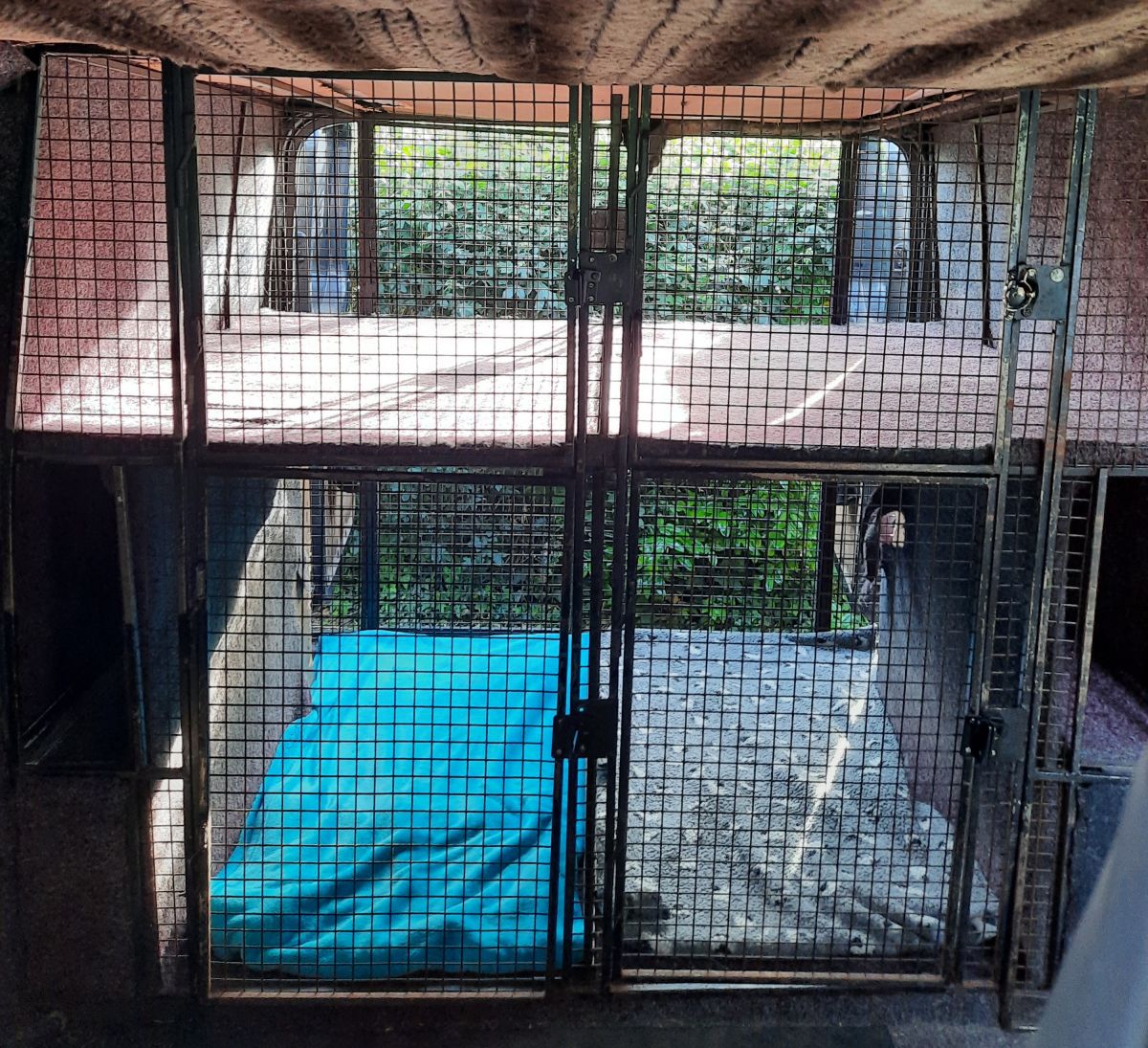 For sale 2 up 2 down van cages